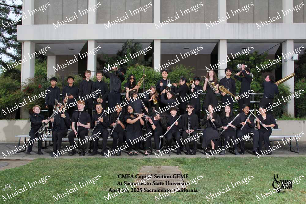 Musical Images